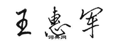 駱恆光王惠軍行書個性簽名怎么寫