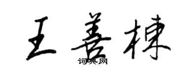 王正良王善棟行書個性簽名怎么寫