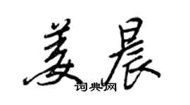 王正良姜晨行書個性簽名怎么寫