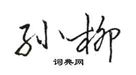 駱恆光孫柳行書個性簽名怎么寫