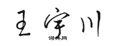 駱恆光王宇川草書個性簽名怎么寫