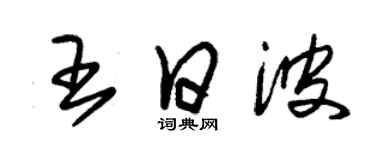 朱錫榮王日波草書個性簽名怎么寫