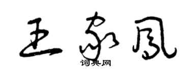 曾慶福王家鳳草書個性簽名怎么寫