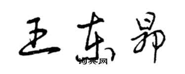 曾慶福王東昂草書個性簽名怎么寫