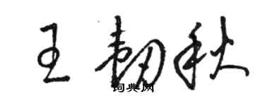 駱恆光王韌秋草書個性簽名怎么寫