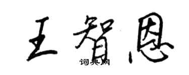 王正良王智恩行書個性簽名怎么寫