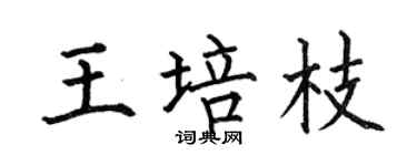 何伯昌王培枝楷書個性簽名怎么寫