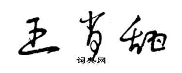 曾慶福王肖甜草書個性簽名怎么寫