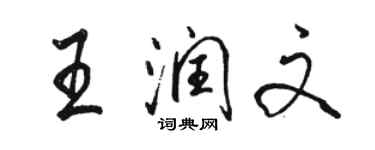 駱恆光王潤文行書個性簽名怎么寫