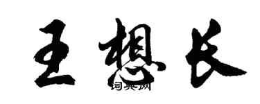 胡問遂王想長行書個性簽名怎么寫