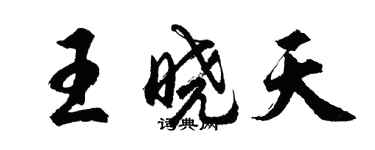 胡問遂王曉天行書個性簽名怎么寫