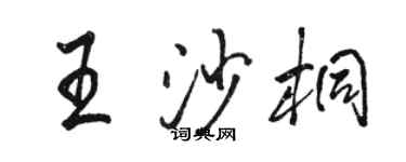 駱恆光王沙桐行書個性簽名怎么寫
