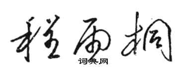 駱恆光程雨桐草書個性簽名怎么寫