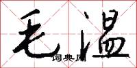 毛溫怎么寫好看