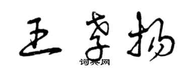 曾慶福王孝揚草書個性簽名怎么寫