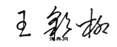 駱恆光王彩柳草書個性簽名怎么寫