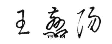 駱恆光王慈陽草書個性簽名怎么寫