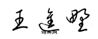 梁錦英王進野草書個性簽名怎么寫