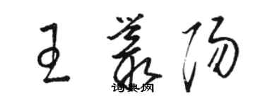 駱恆光王叢陽草書個性簽名怎么寫