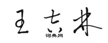 駱恆光王吉林草書個性簽名怎么寫