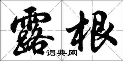 胡問遂露根行書怎么寫