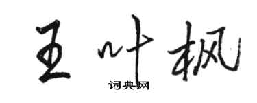 駱恆光王葉楓行書個性簽名怎么寫