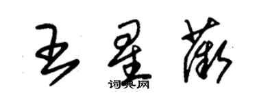 朱錫榮王星薇草書個性簽名怎么寫