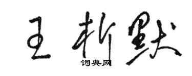 駱恆光王析默草書個性簽名怎么寫