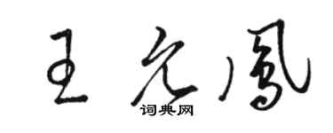 駱恆光王允鳳草書個性簽名怎么寫