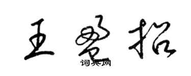 梁錦英王盈招草書個性簽名怎么寫