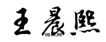 胡問遂王晨熙行書個性簽名怎么寫