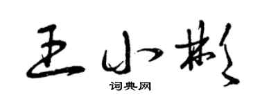 曾慶福王小彬草書個性簽名怎么寫