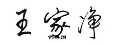 駱恆光王家淨行書個性簽名怎么寫