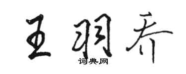 駱恆光王羽喬行書個性簽名怎么寫