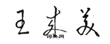 駱恆光王來美草書個性簽名怎么寫