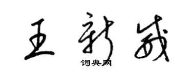 梁錦英王新威草書個性簽名怎么寫