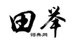 胡問遂田舉行書個性簽名怎么寫