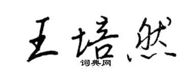 王正良王培然行書個性簽名怎么寫