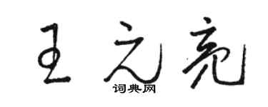 駱恆光王元亮草書個性簽名怎么寫