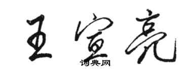 駱恆光王宣亮行書個性簽名怎么寫