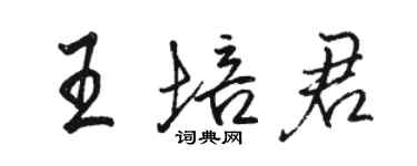 駱恆光王培君行書個性簽名怎么寫