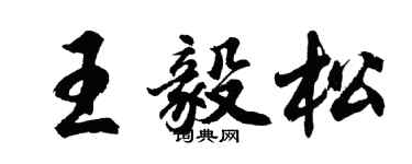 胡問遂王毅松行書個性簽名怎么寫