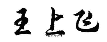 胡問遂王上飛行書個性簽名怎么寫