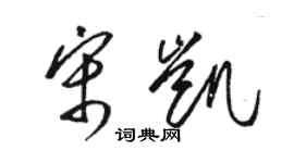 駱恆光宋凱草書個性簽名怎么寫