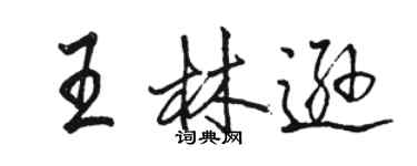 駱恆光王林遜行書個性簽名怎么寫