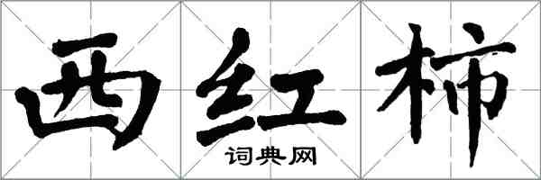 翁闓運西紅柿楷書怎么寫