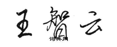 駱恆光王智雲行書個性簽名怎么寫