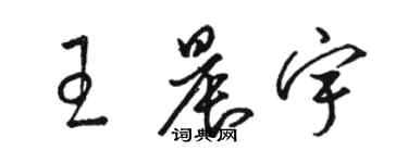 駱恆光王晨宇草書個性簽名怎么寫