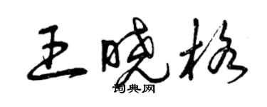 曾慶福王曉格草書個性簽名怎么寫