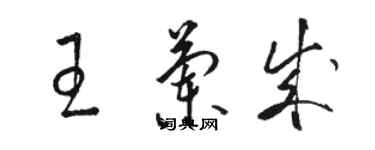 駱恆光王蘭成草書個性簽名怎么寫